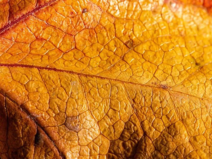 Market mispricing persists amid rising resilience