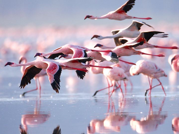 Building equity portfolios for a new cycle